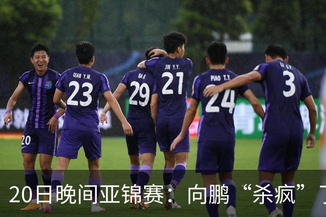 20日晚间亚锦赛：向鹏“杀疯”了，李天阳造惨案，国乒剑指冠军！